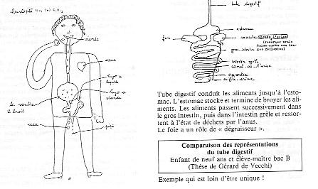 doc-neduc-196-0002.JPG (26299 bytes)