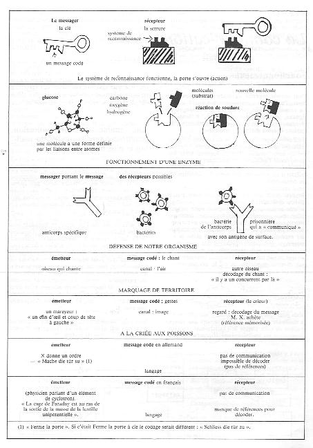 doc-neduc-196-0004.JPG (53115 bytes)