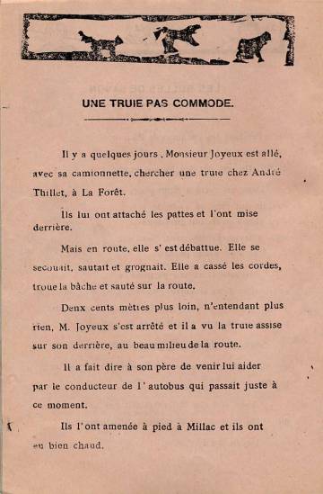 millou4.jpg (32210 bytes)